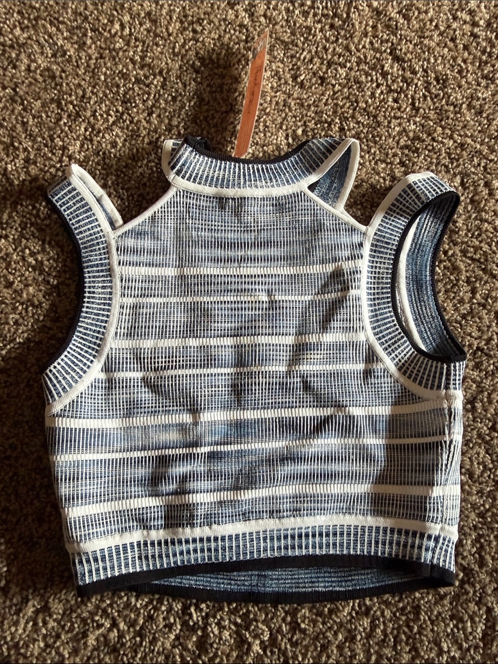 Torn by Ronny Kobo Blue & White Striped Cropped Knit Tank - Picture 6 of 7